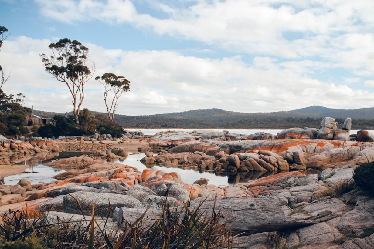 Exploring the Tough Terrain of Tasmania's South Coast TrackIllustration