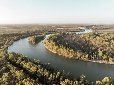 The Murray River Walk: An Adventure for the Advanced TrekkerIllustration