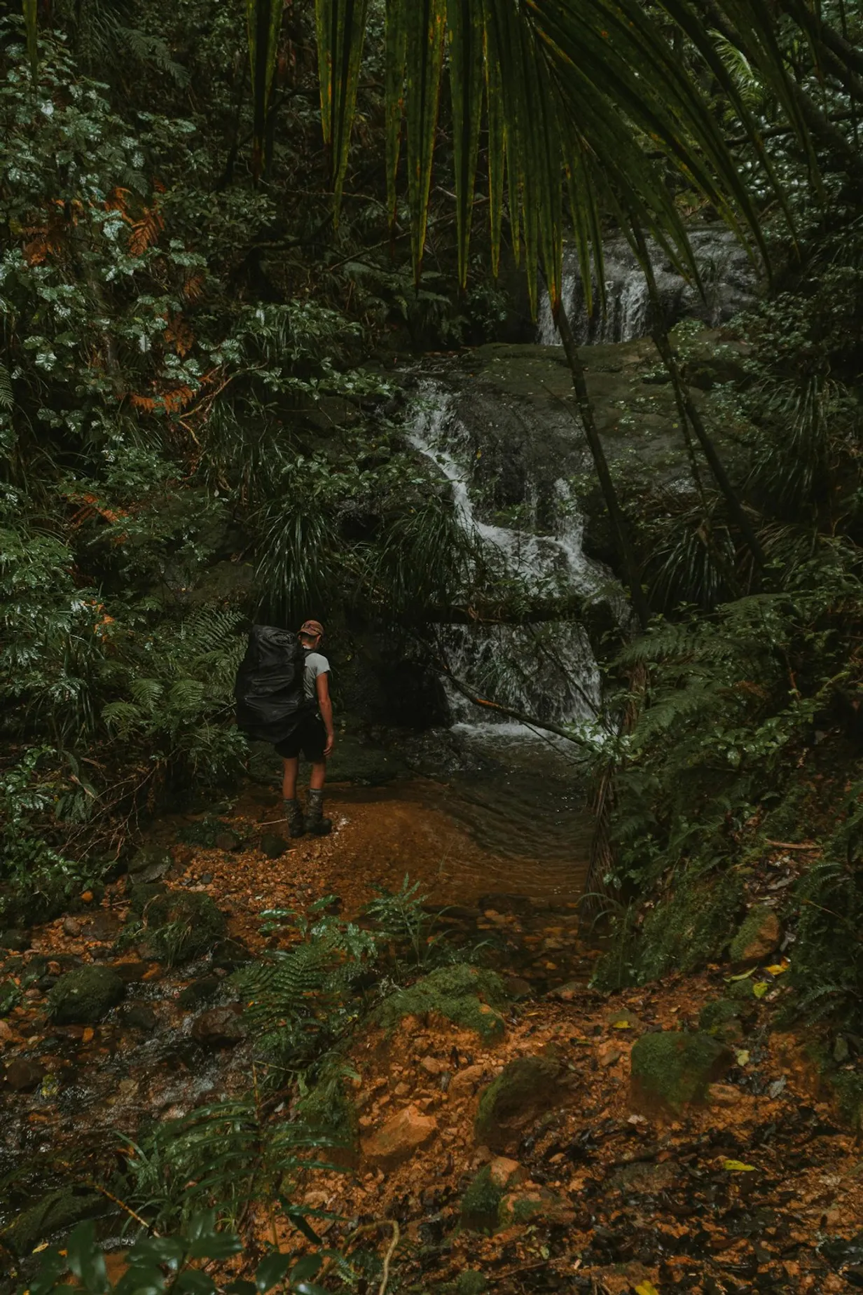 Incredible Scenic Running Routes in the Flinders RangesIllustration